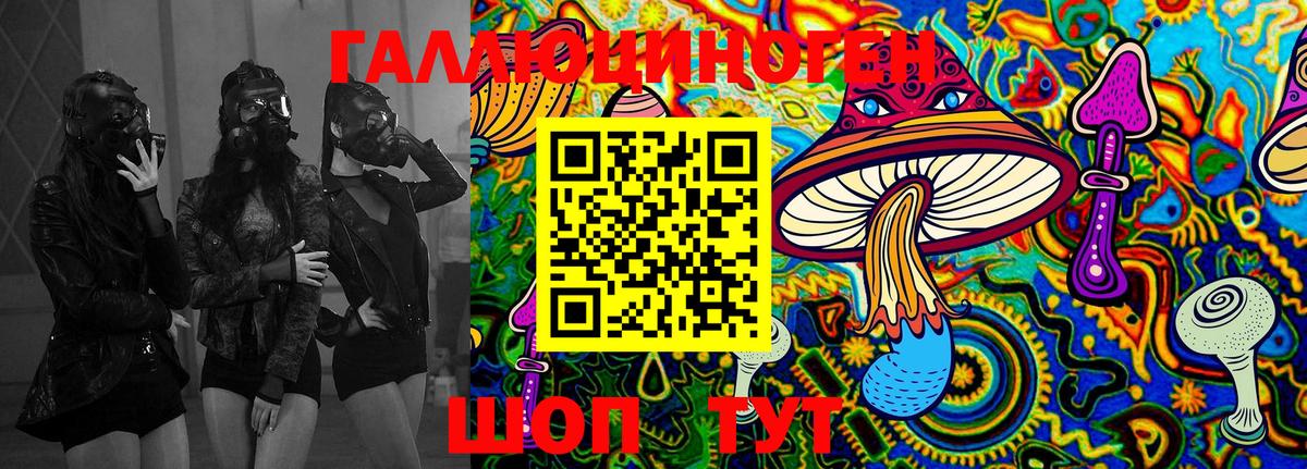 Галлюциногенные грибы Psilocybine cubensis Ртищево